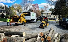 Best Tree Trimming and Pruning  in West Rson, CA